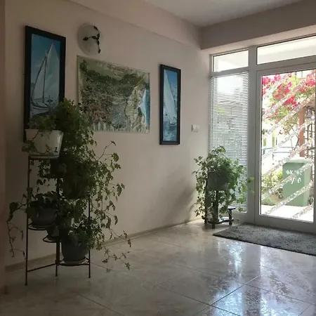 гостевой дом Joy Guest house *