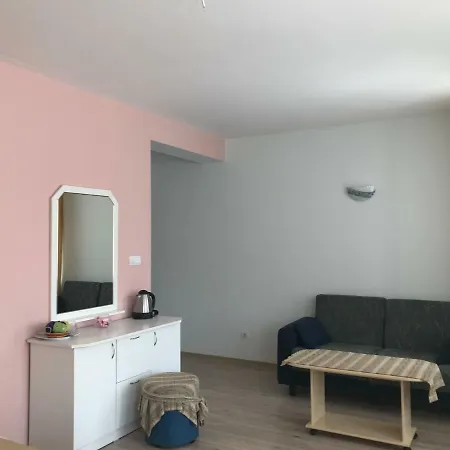гостевой дом Joy Guest house